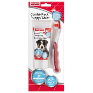 COMBI-PACK CHIOT DENTIFRICE + BROSSE A DENTS
