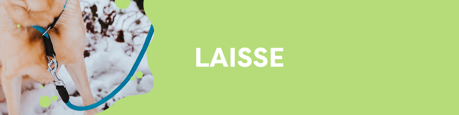 LAISSE