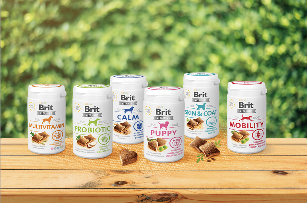 Des Vitamines pour Chien ?